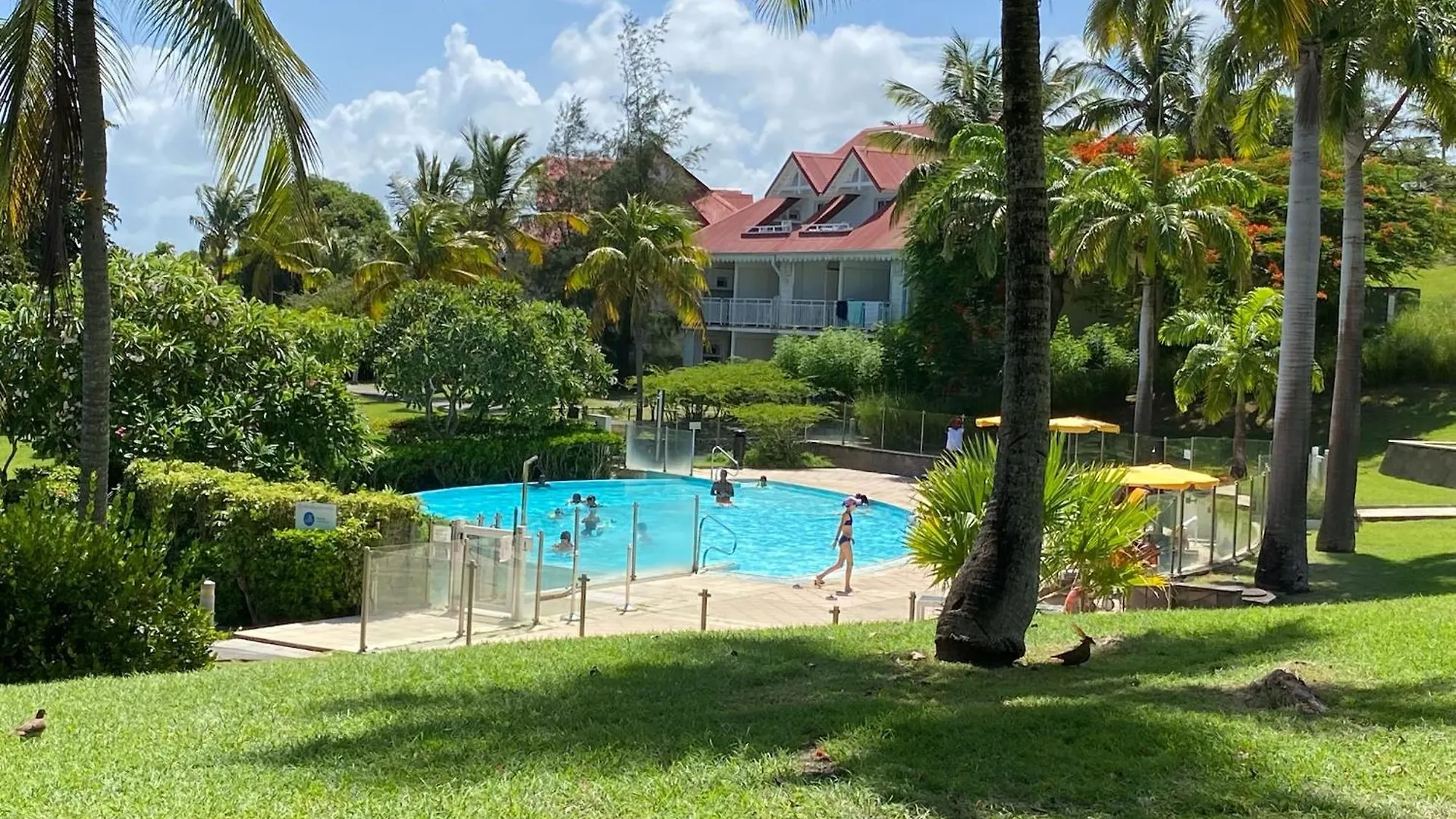 Lejlighed Studio Mahana En Bord De Mer Sainte-Anne  Guadeloupe